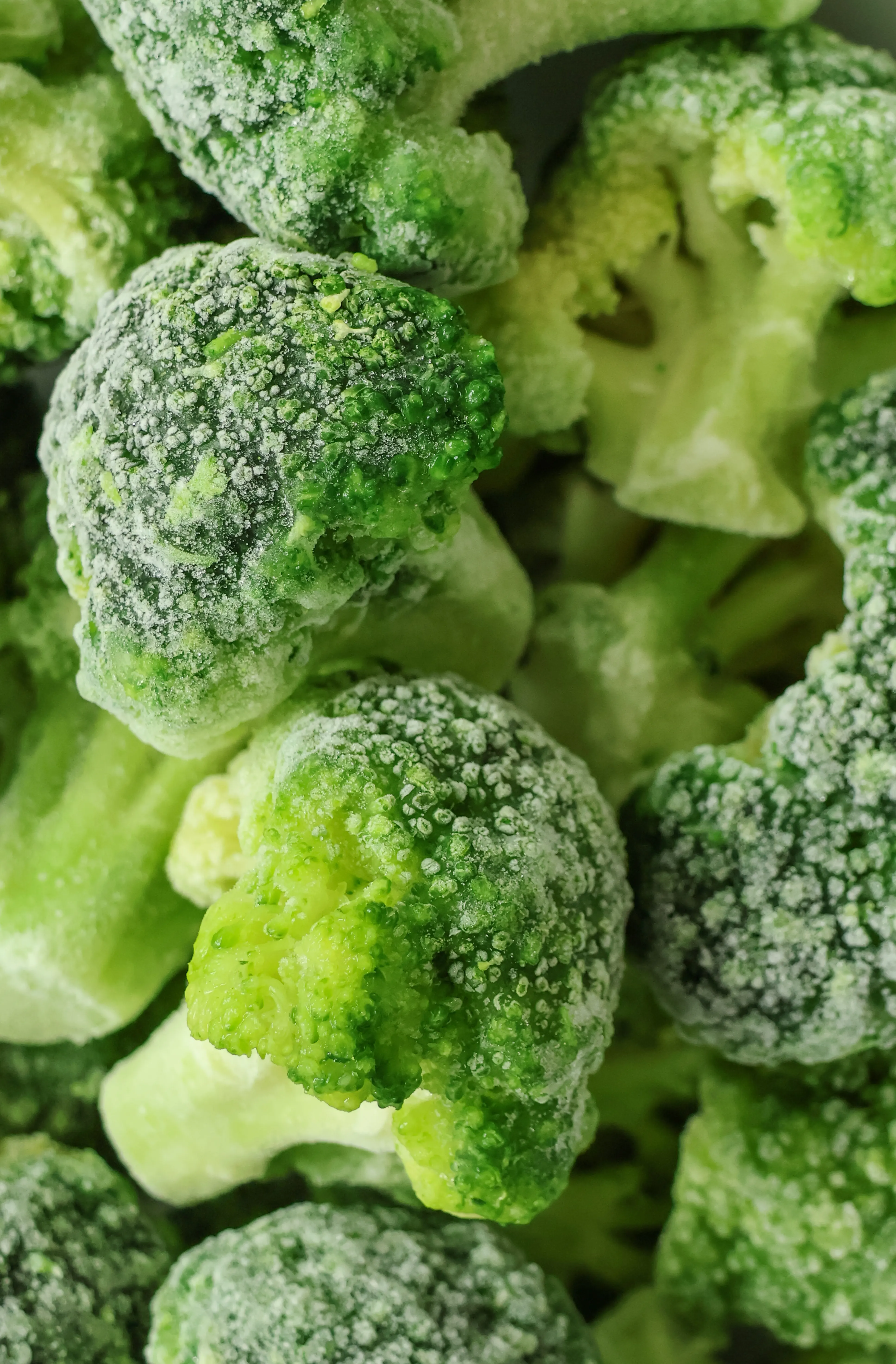broculos-congelado-verde-monliz.webp