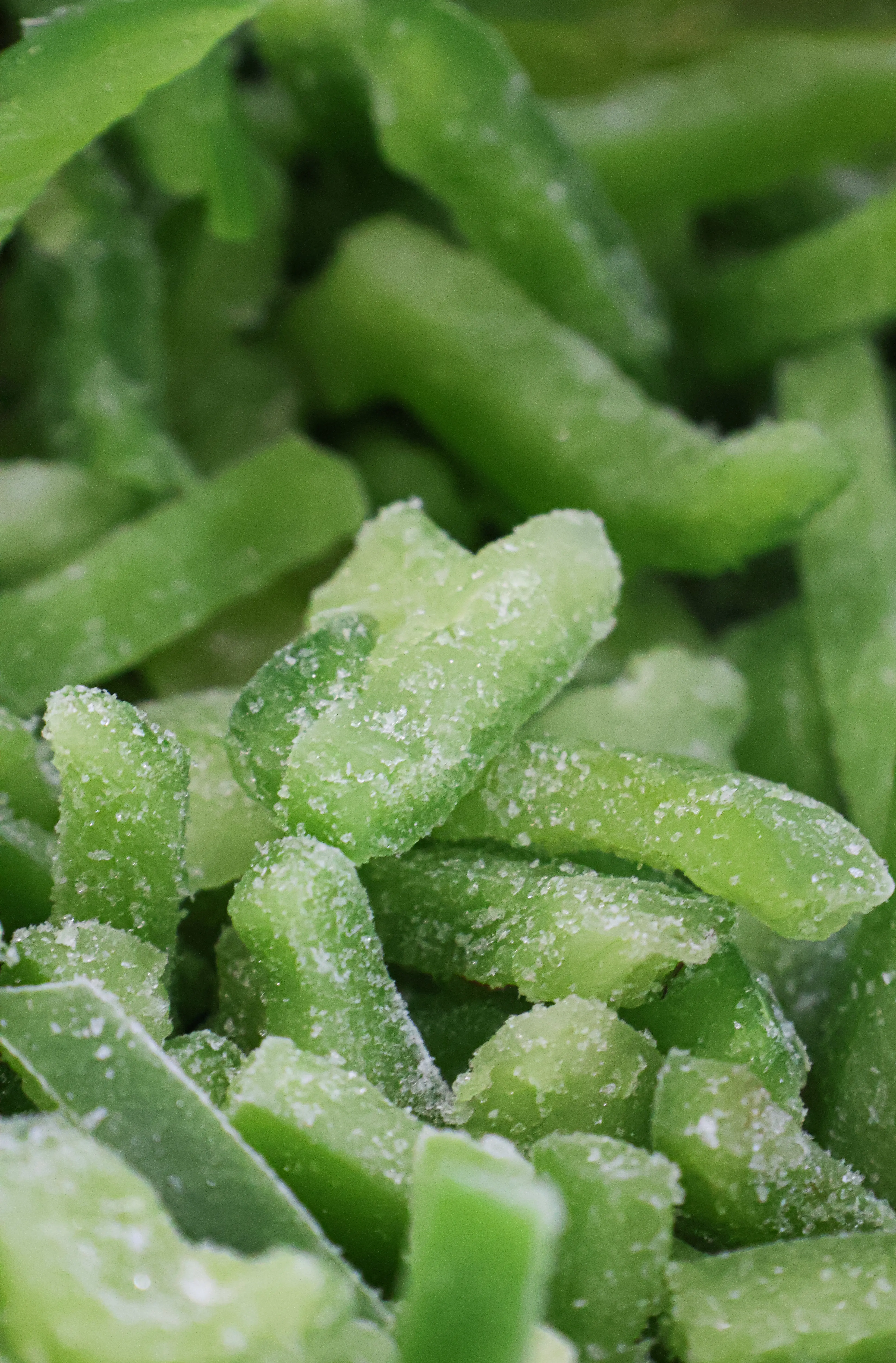 pimento-congelado-tiras-verde-monliz.webp